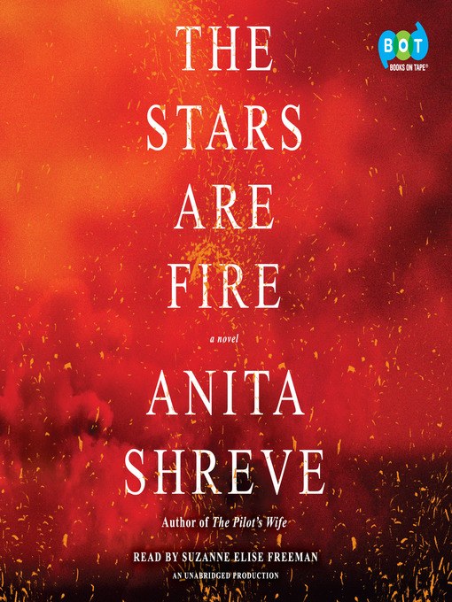 Title details for The Stars Are Fire by Anita Shreve - Wait list